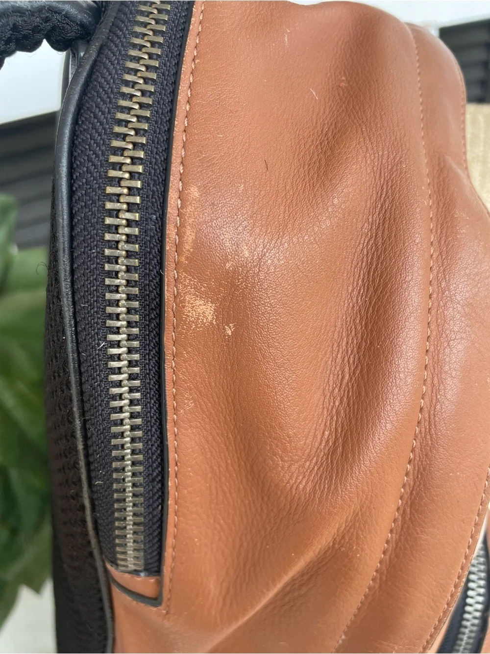 Coach **interior great
